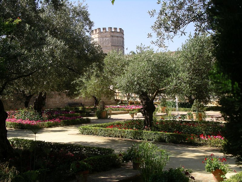 Andalusie 2011 009.JPG